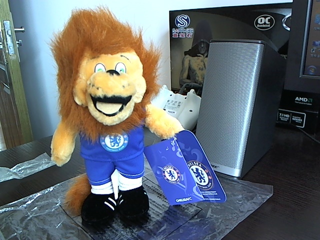 һֻ�ж���ʨ��