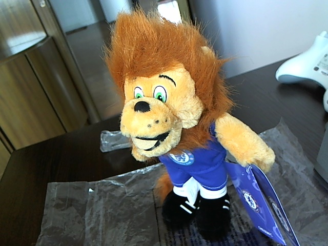 һֻ�ж���ʨ��