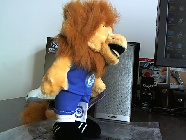 һֻ�ж���ʨ��