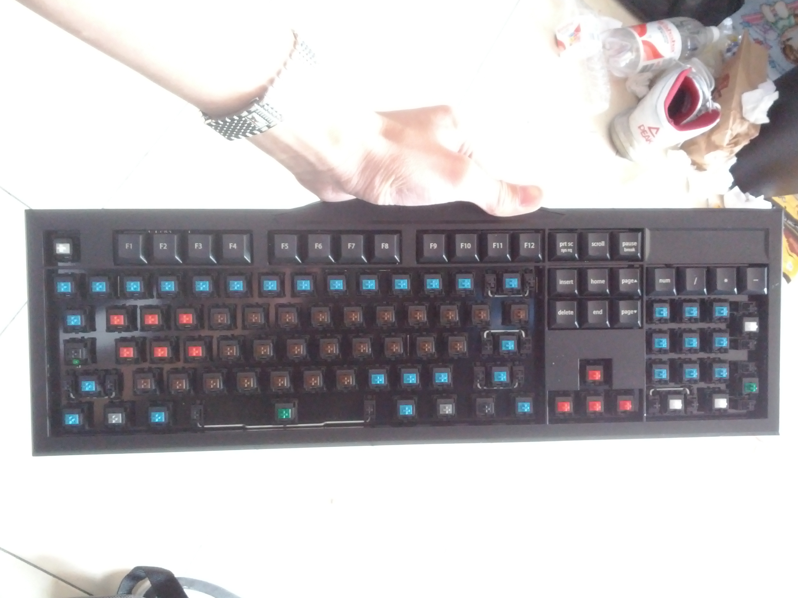 ӣ��3800���ᣬ���ᣬ���ᣬ����ҷ���һ�£���������--ţ��