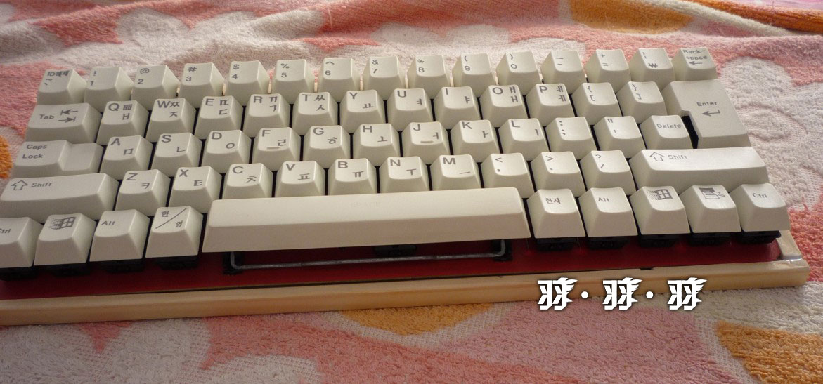 ¡ռDIYerĸ޳壩Сԭ飬޳DIY40%ʵ¼