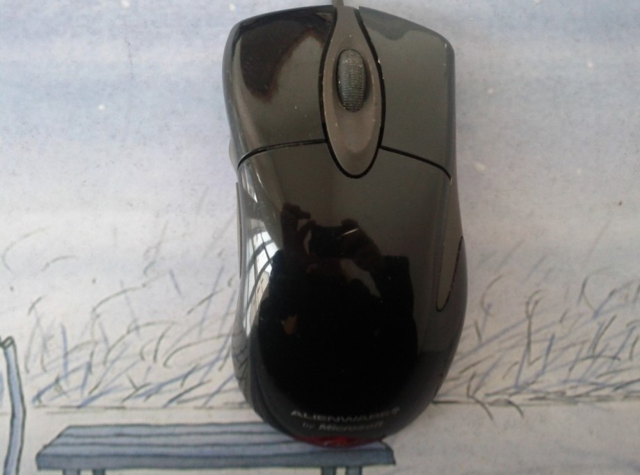 ��Ͷ�ߡ�ID����Ҫ���ģ� ��������������