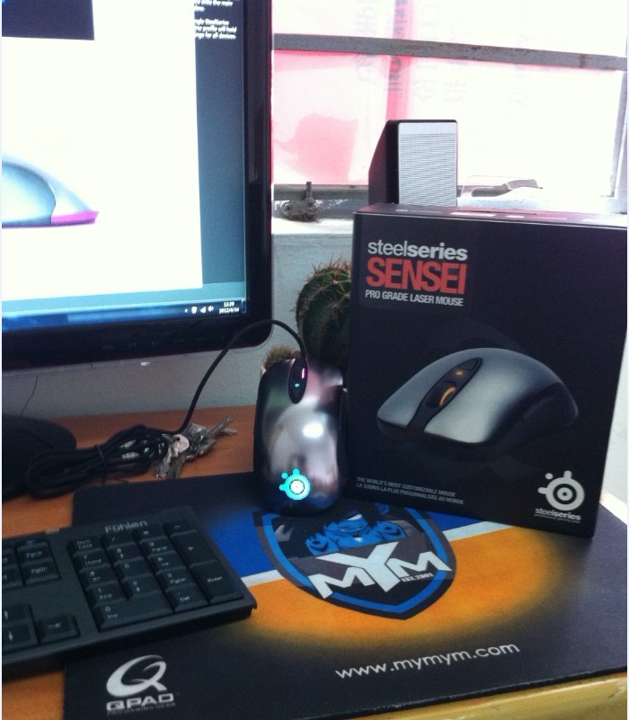 �Ա�����SENSEI����� ����