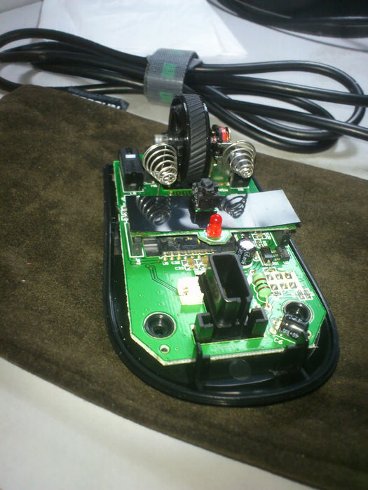 nEO_IMG_DSC_0419.jpg