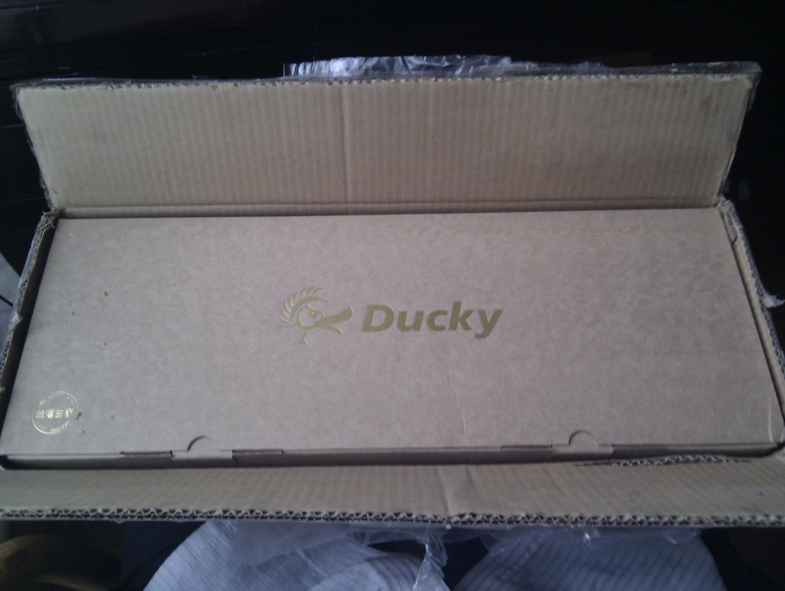 ̳յ DUCKY9008赽ҿ[12P]