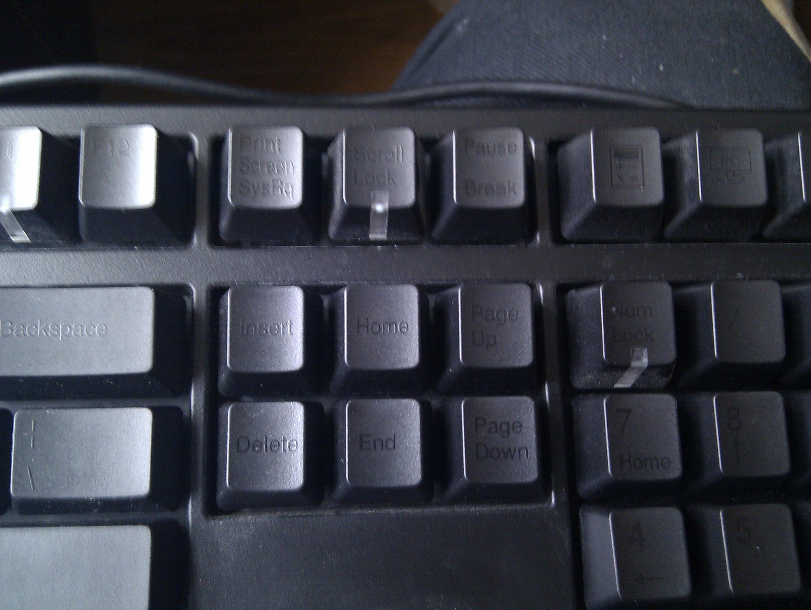 ̳յ DUCKY9008赽ҿ[12P]