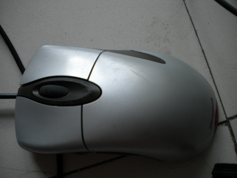 DSCN0863.JPG