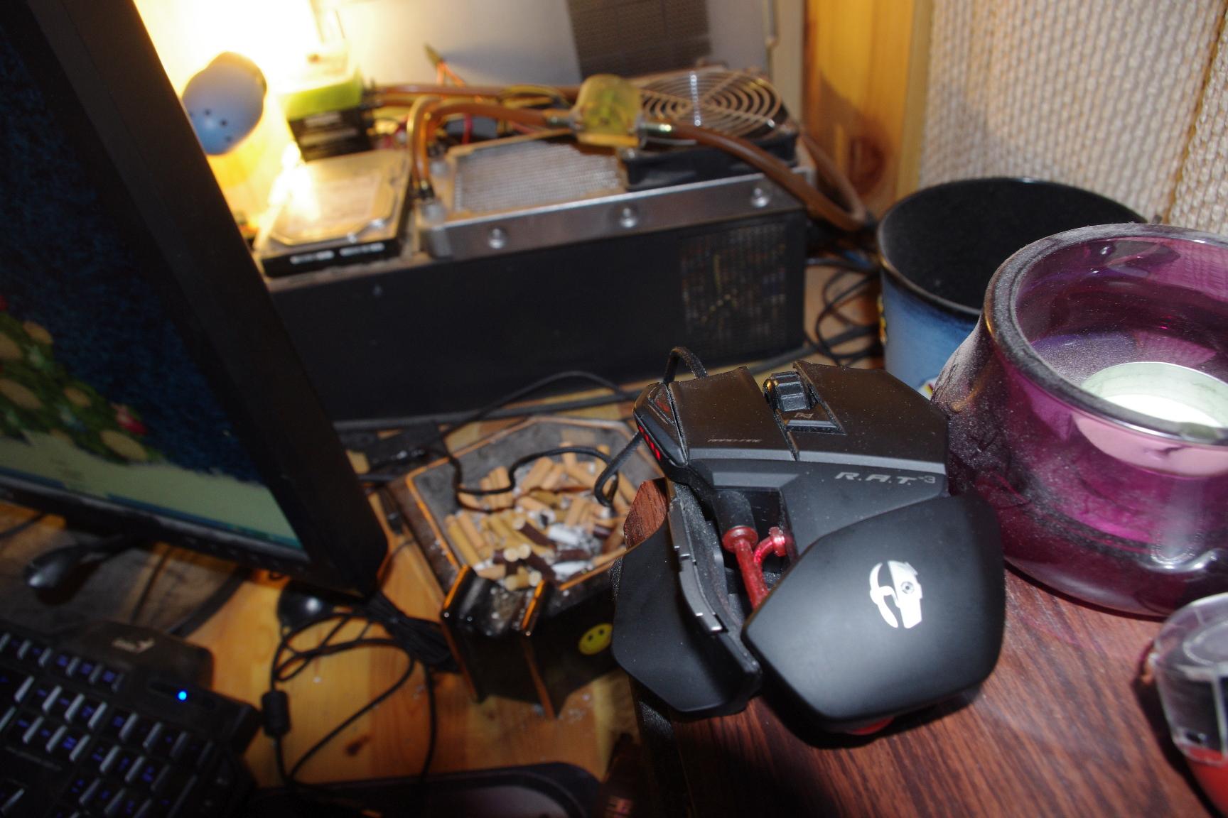 ���� ͸©����ҹ��ڵ�������G500�Ĺ�ϵ��С����Ϣ