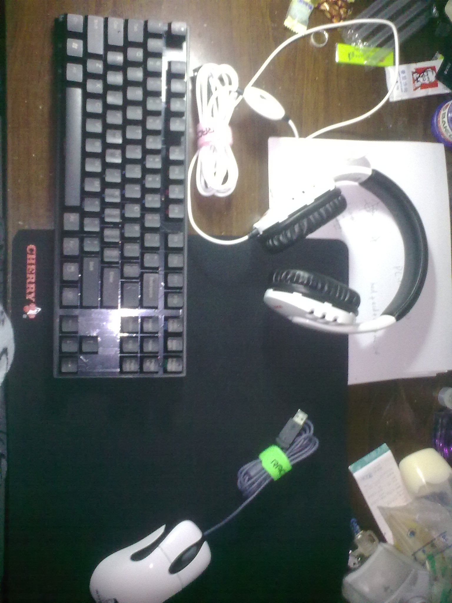 20120504124.jpg