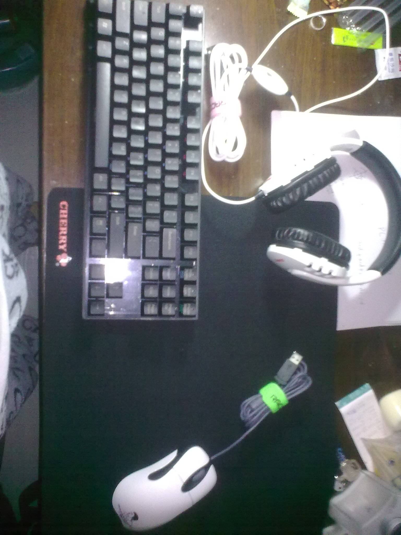 20120504123.jpg