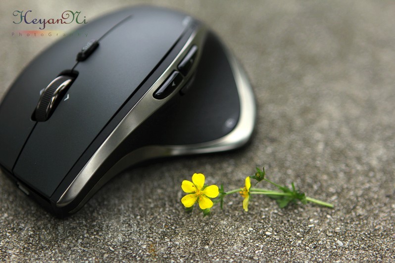 ���������~~����Ĺ�ͼ�����