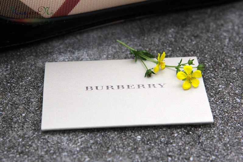 ���������~~����Ĺ�ͼ�����