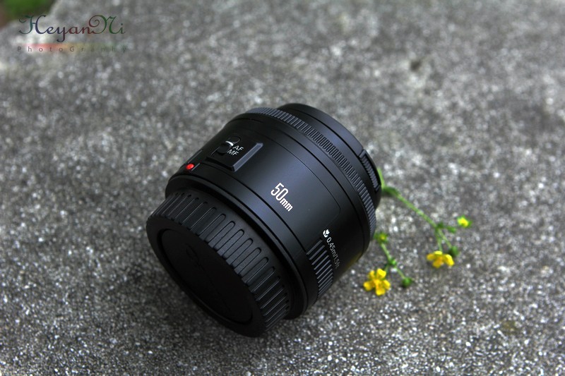 ���������~~����Ĺ�ͼ�����