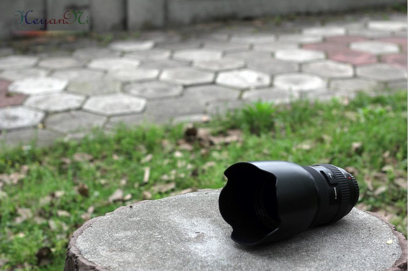 ���������~~����Ĺ�ͼ�����