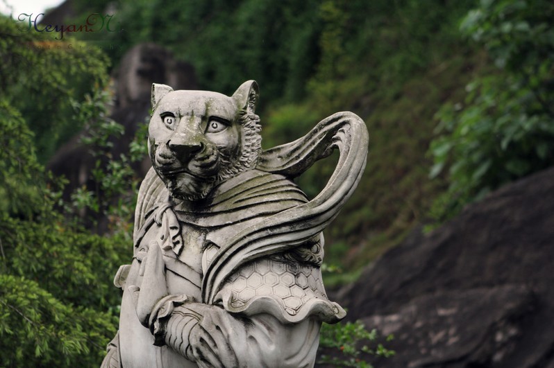 ���������~~����Ĺ�ͼ�����