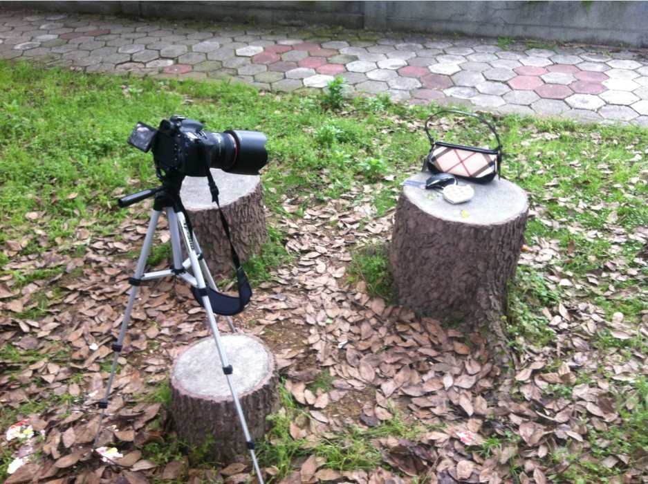 ���������~~����Ĺ�ͼ�����