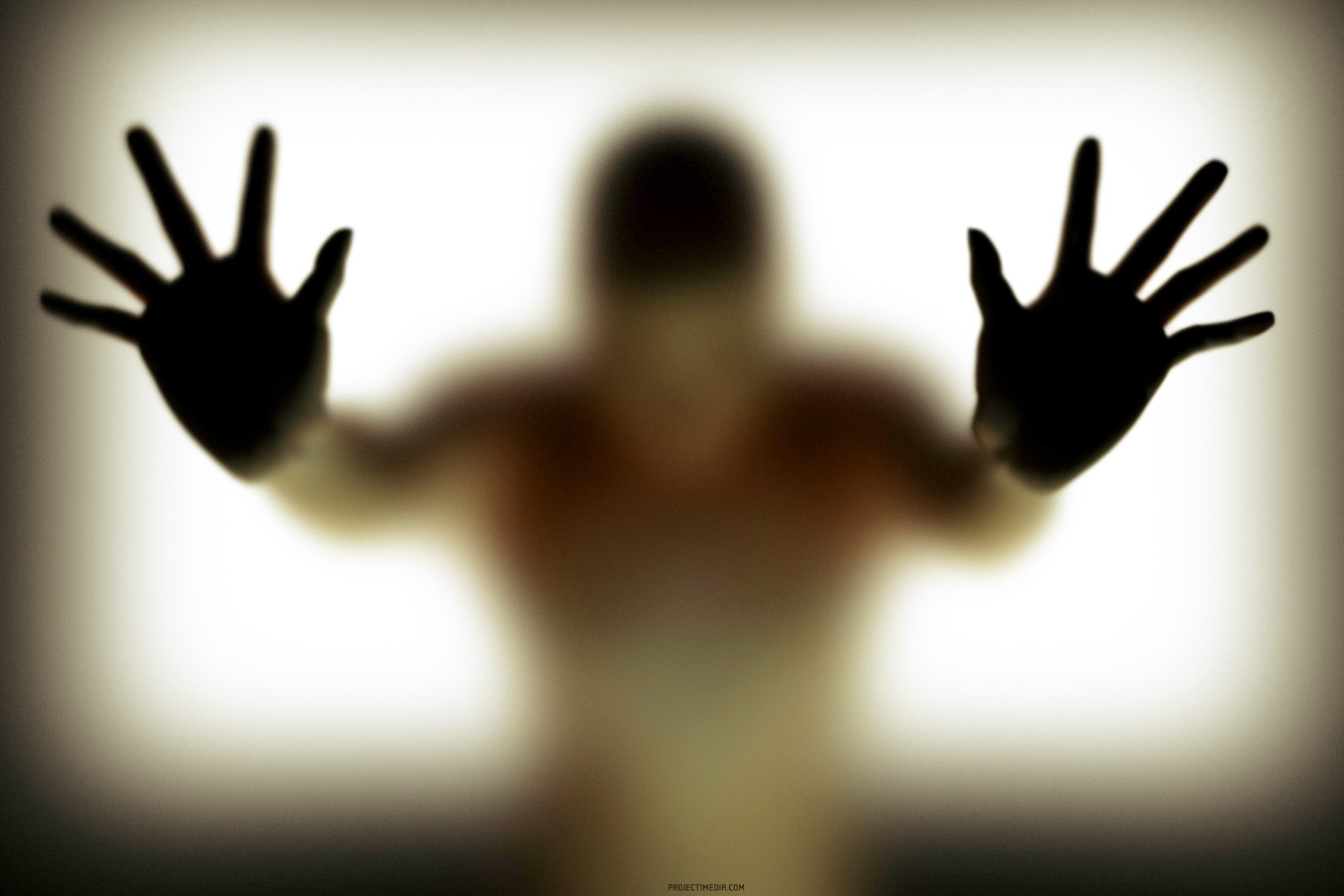 ��ǽֽһ�ţ���������ͼ���鷳˭�и����¡�