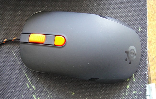 ����9.5��KANA�����ߴ�Ʒ��һֻ