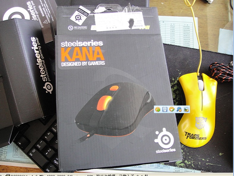 ����9.5��KANA�����ߴ�Ʒ��һֻ