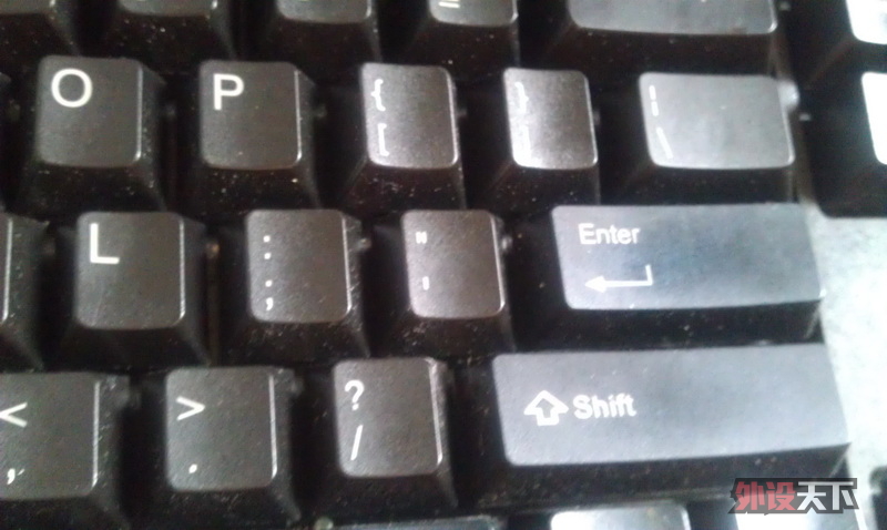 �Ϻ� �� DUCKY1008 �����һ�� 300����
