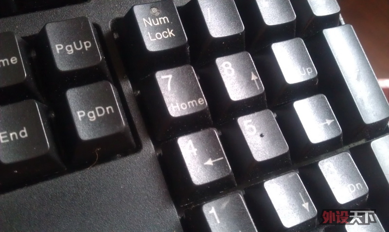 �Ϻ� �� DUCKY1008 �����һ�� 300����