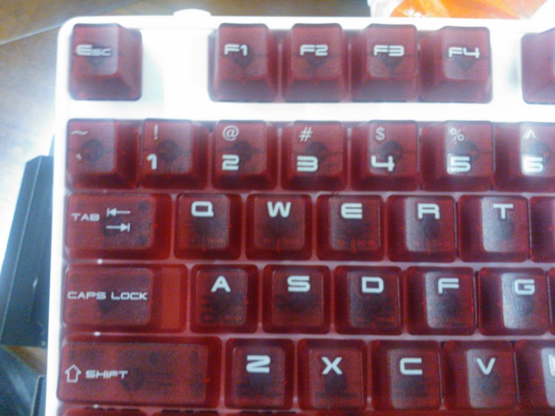 WP_000096.jpg