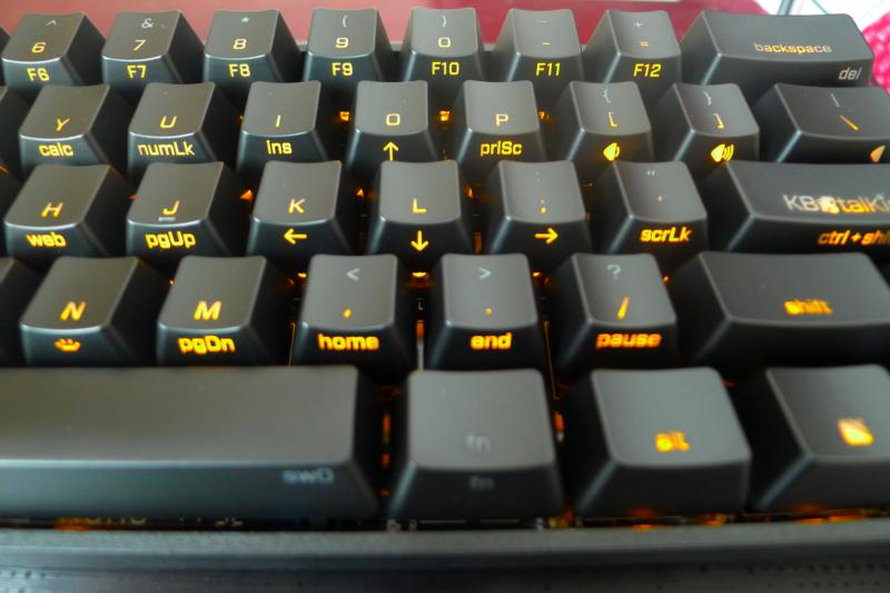 P1000909 (800x533).JPG