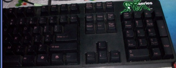 [5P] ����ҫ���� �ҵ� �� FILCO  ���� �� ��ɫFICO  ����