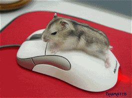 90046524jw1dqb67fdqzwg.gif
