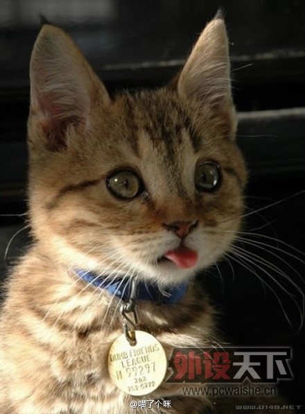 �����������ҵ��