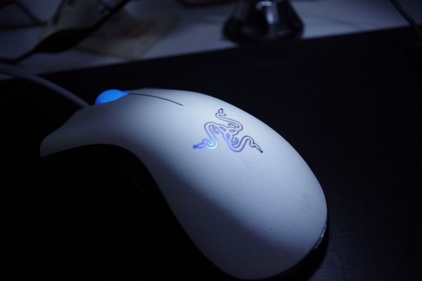 IMGP2931.JPG