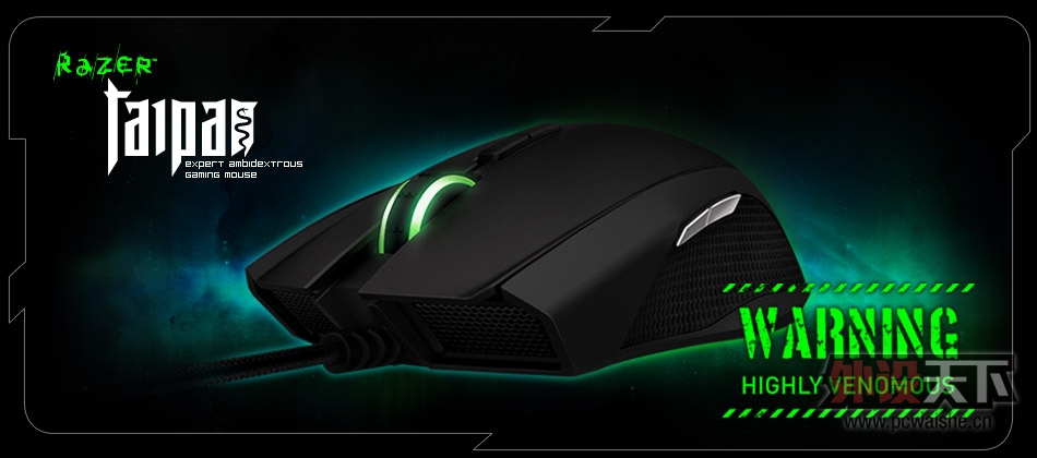 ���ڣ����ߵĶԳ�4G��-RazerTaipan