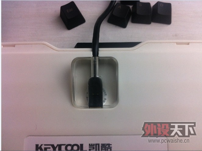 ���Ṥ�̰� PBT��ñ�׷�+��������׷������������׷���