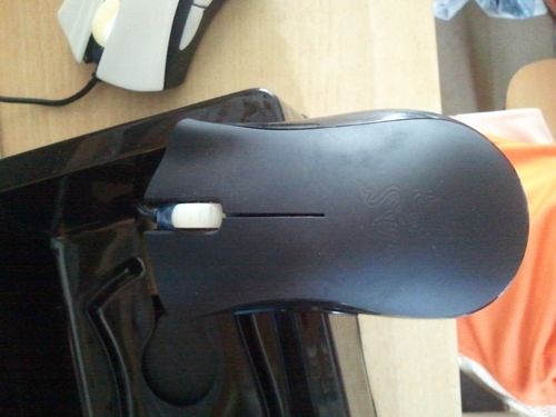 nEO_IMG_2012-06-11 09.10.32.jpg