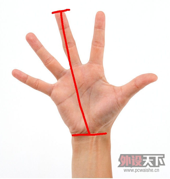 �ֳ�19.2cm��200-400��λ����깺����ѯ��������ָ�̡�