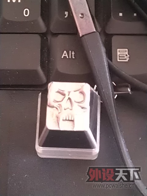 IMAG0177.jpg