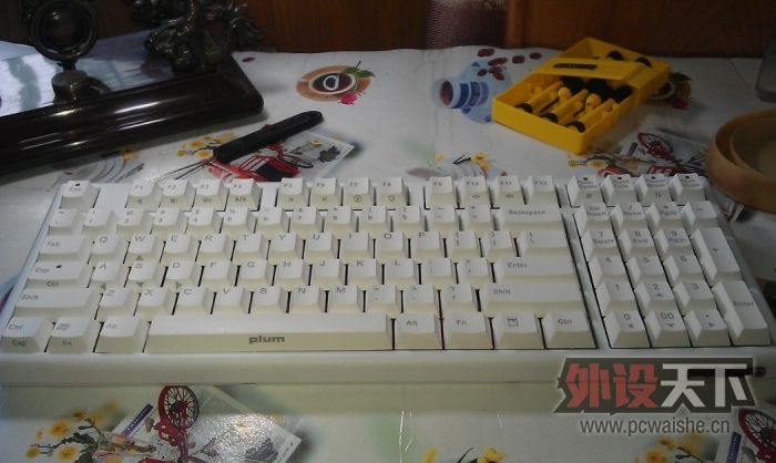 PLUM96һ ɫ