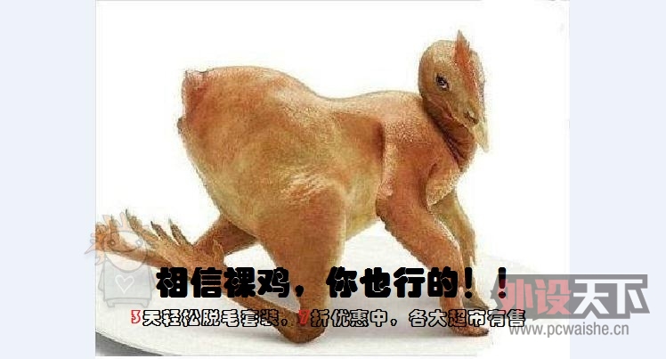 nEO_IMG_1360ͼ20120219141620841.jpg