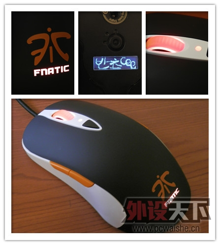 ���˸�sensei fnatic���Լ�����