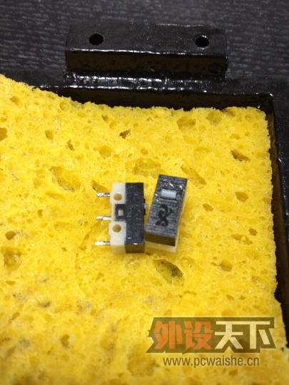 Ͼ֮Сһֻʼ ŷķӣ