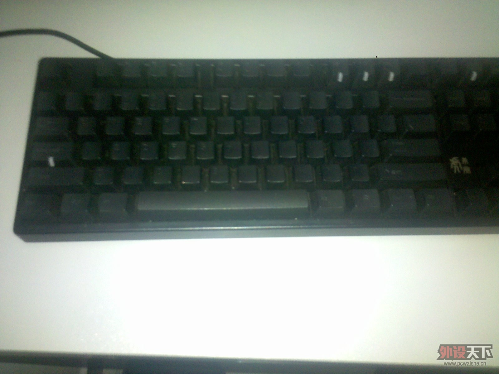 Ԥ������DUCKY����