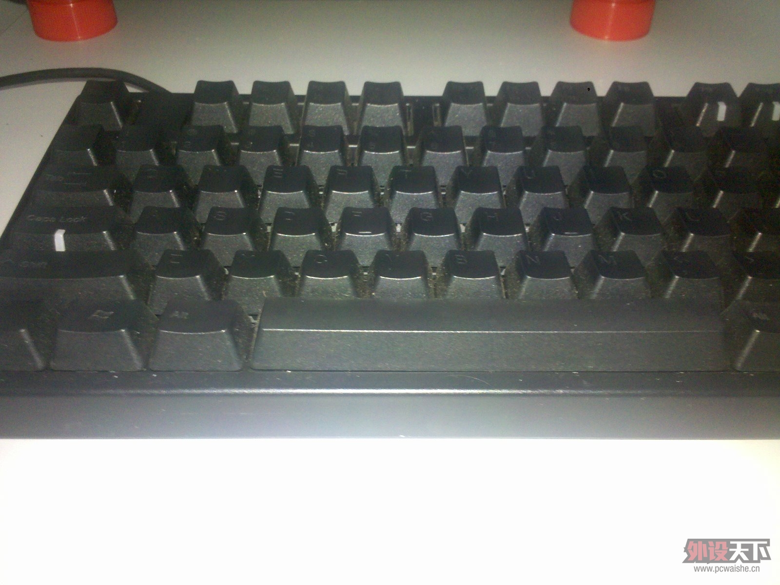 Ԥ������DUCKY����