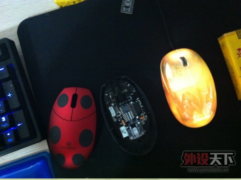 fkmini���ˣ�˵�ľջ�