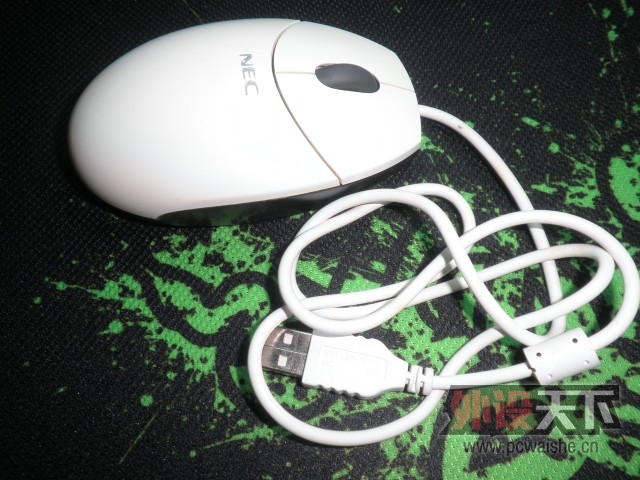 SC���������������յõ���ֻ��ɫ���Ż�mini����������������ô��