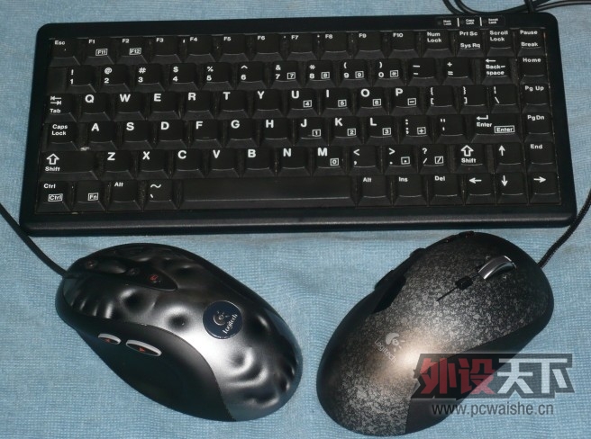 �������������������ʵ�ĵ羺�������