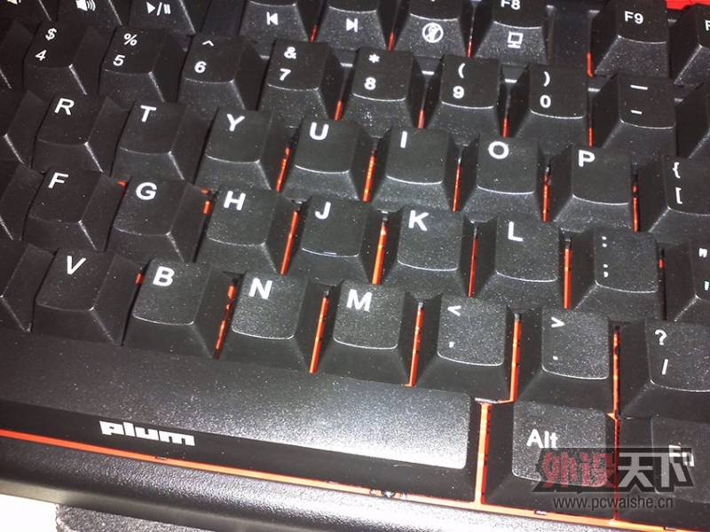 plum96��ô���˹�ע����ô������û��ô����ȥ��
