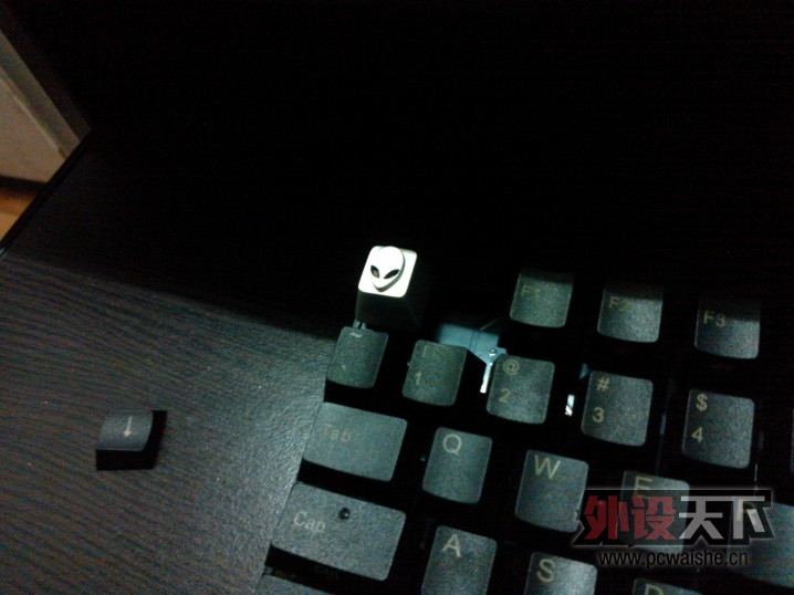 WP_000574.jpg