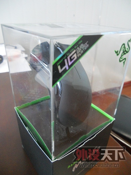 DSCN1151.JPG