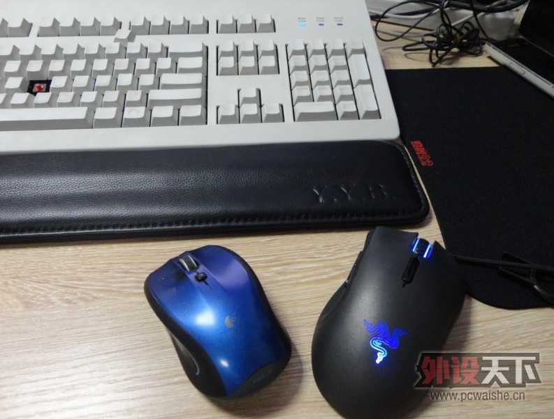 ȫ��ȫ�����룡�����ʲ���Щ