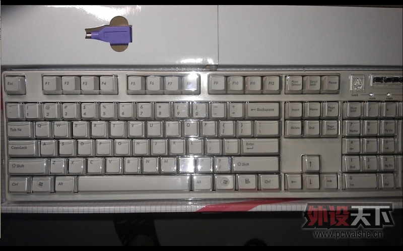 �������鵽�˴�˵�е������ᡪ��Filcoһ����ɫ���ᵽ��~~ ���ֱ��